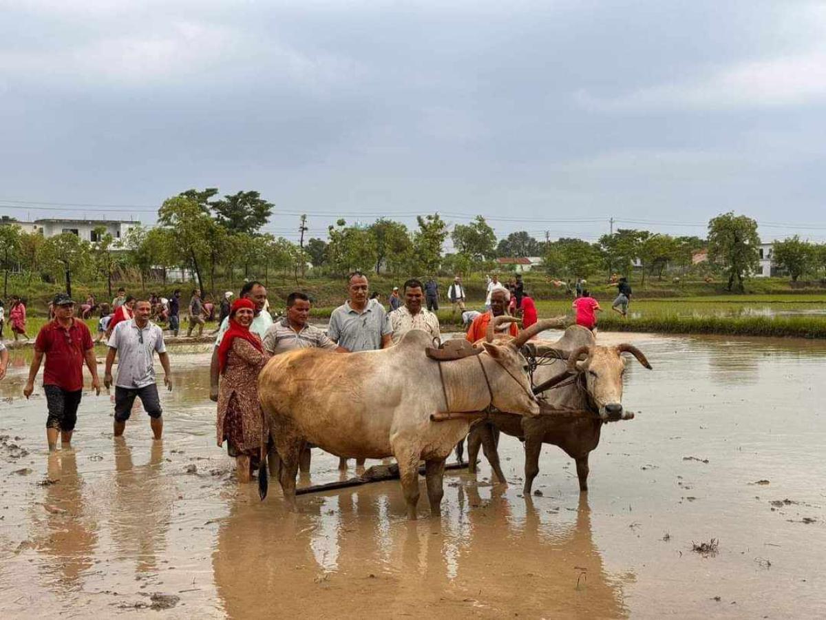 ropai-rupandehi-(10)-1719652541.jpg