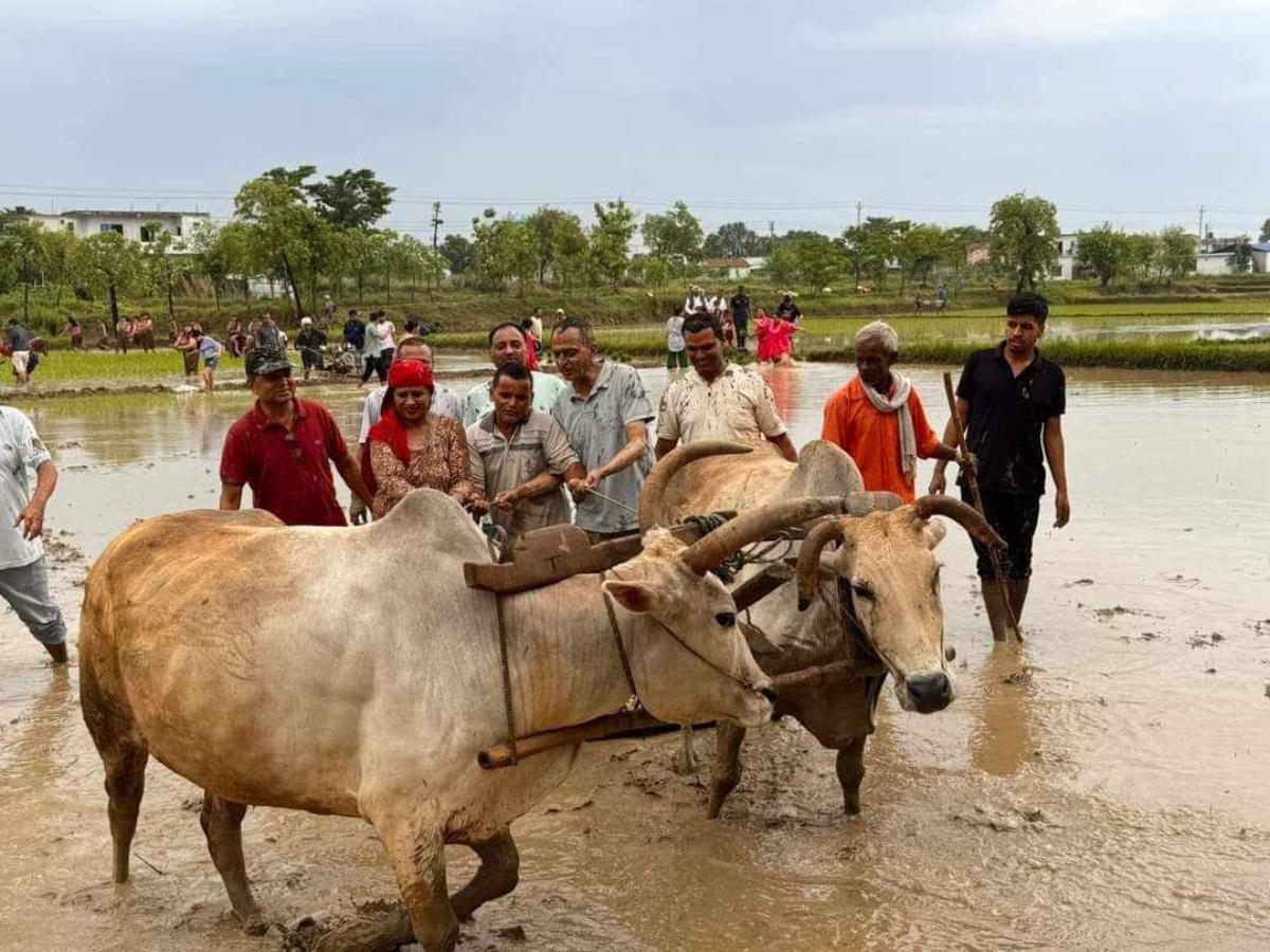 ropai-rupandehi-(11)-1719652541.jpg