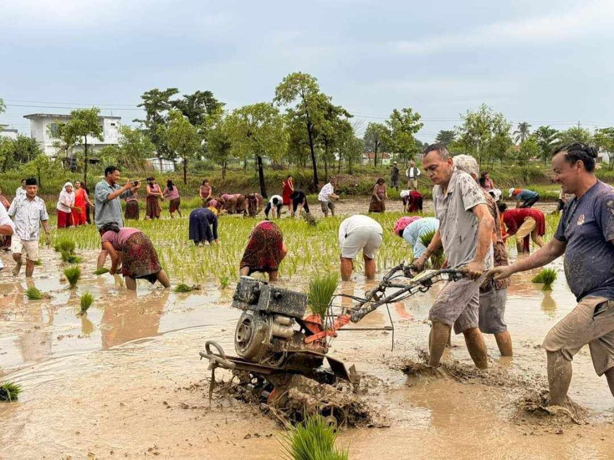 ropai-rupandehi-(13)-1719652542.jpg