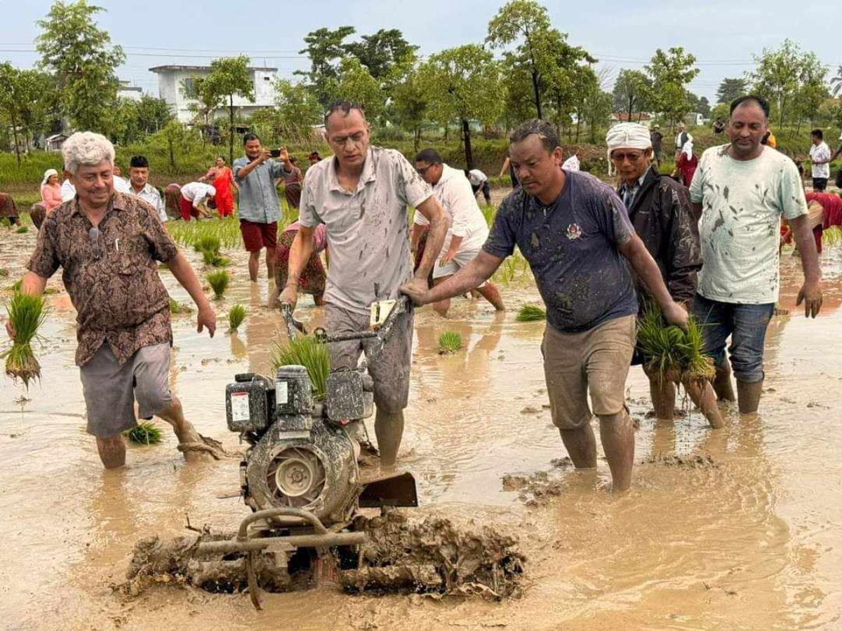 ropai-rupandehi-(14)-1719652543.jpg