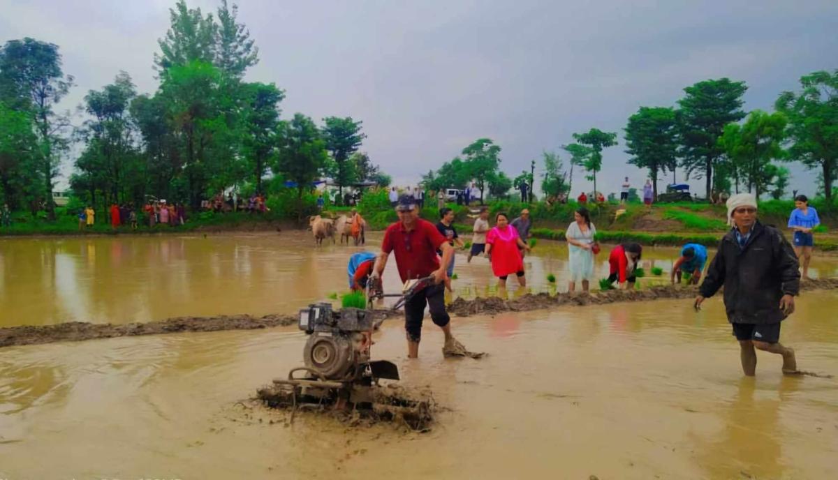 ropai-rupandehi-(15)-1719652543.jpg