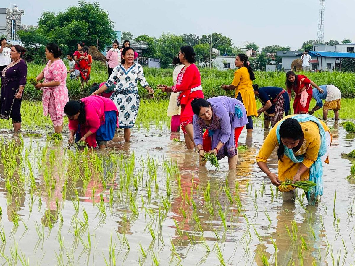ropai-rupandehi-(4)-1719652539.jpg