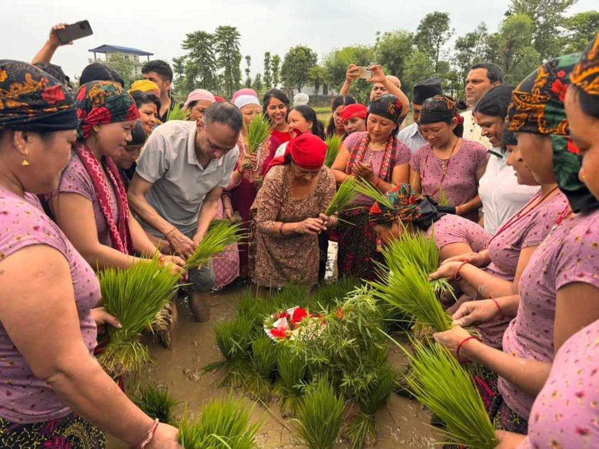 ropai-rupandehi-(5)-1719652539.jpg