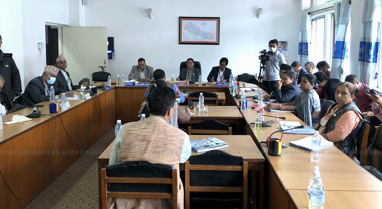 तस्बिर: सन्जिब बगाले/सेतोपाटी