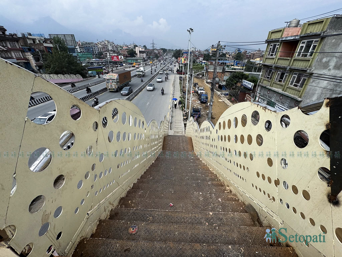 sanepa-akasepul-(2)-1791438333.jpg