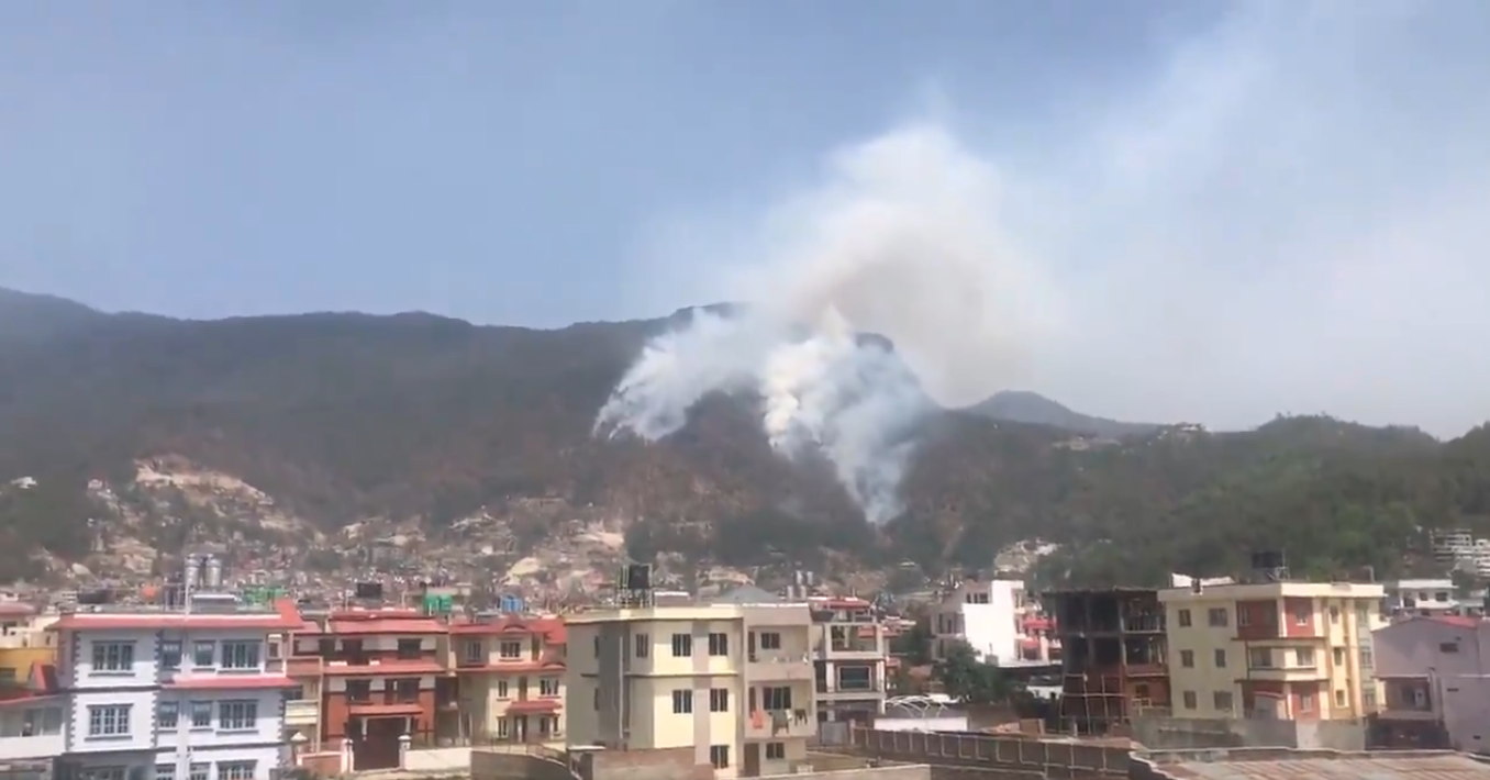 तस्वीर स्रोत: @tularashi2764 को ट्विटरबाट