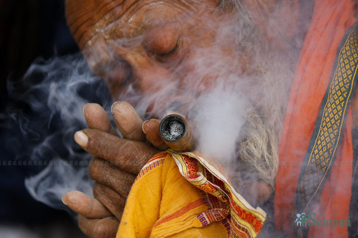 shivratri--(4)-1740491319.jpg