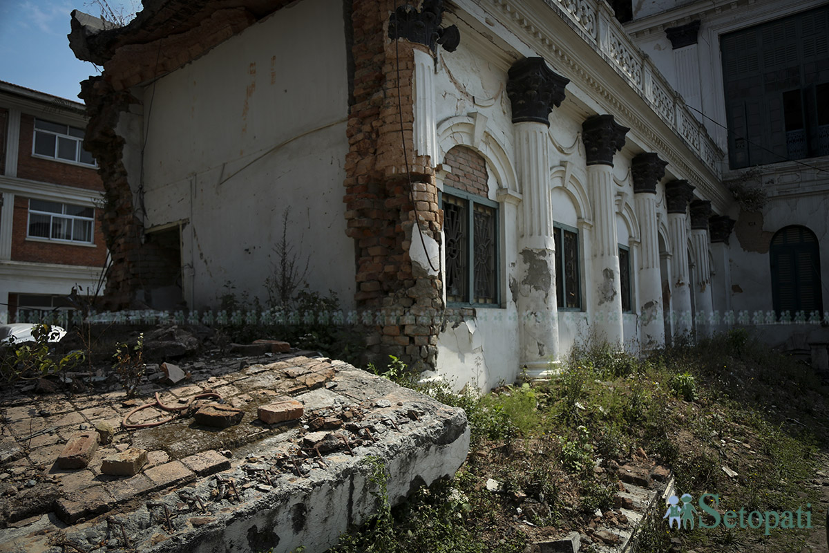 shree-mahal--(11)-1742796874.jpg