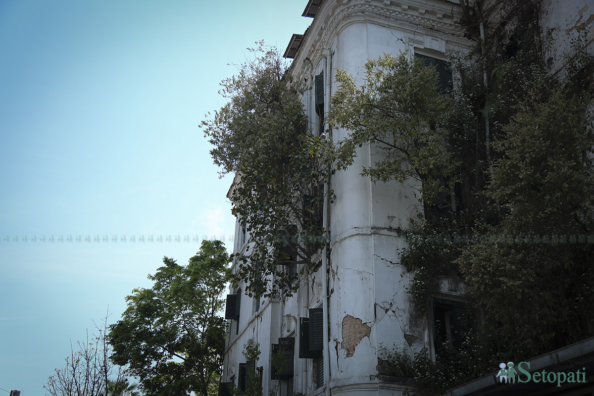 shree-mahal--(12)-1742796874.jpg