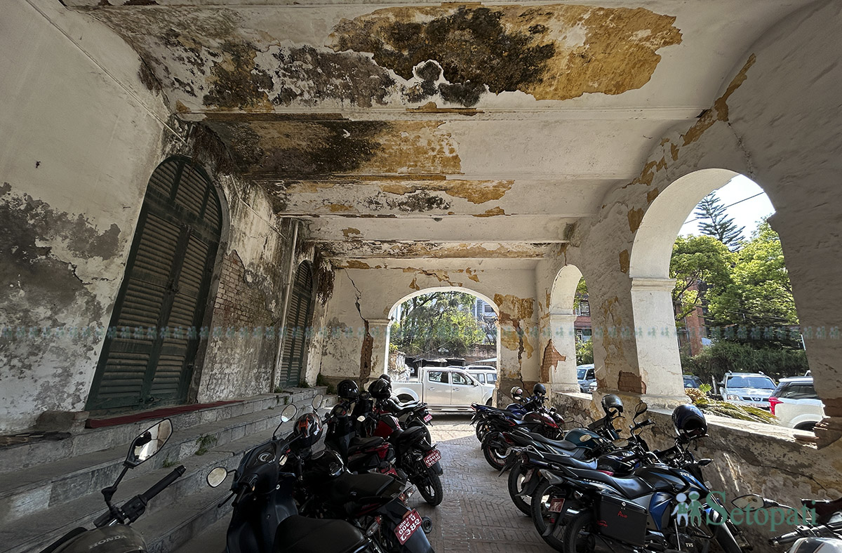 shree-mahal--(19)-1742796942.jpg
