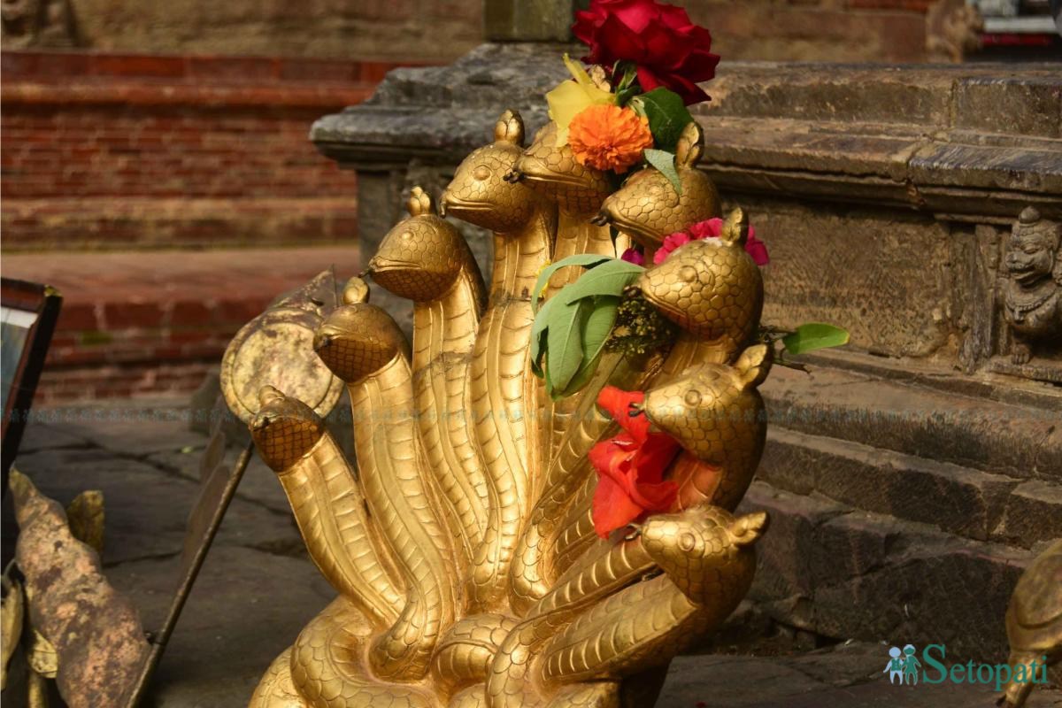 shriniwash-malla-singhashan-(11)-ink-1749614780.jpeg