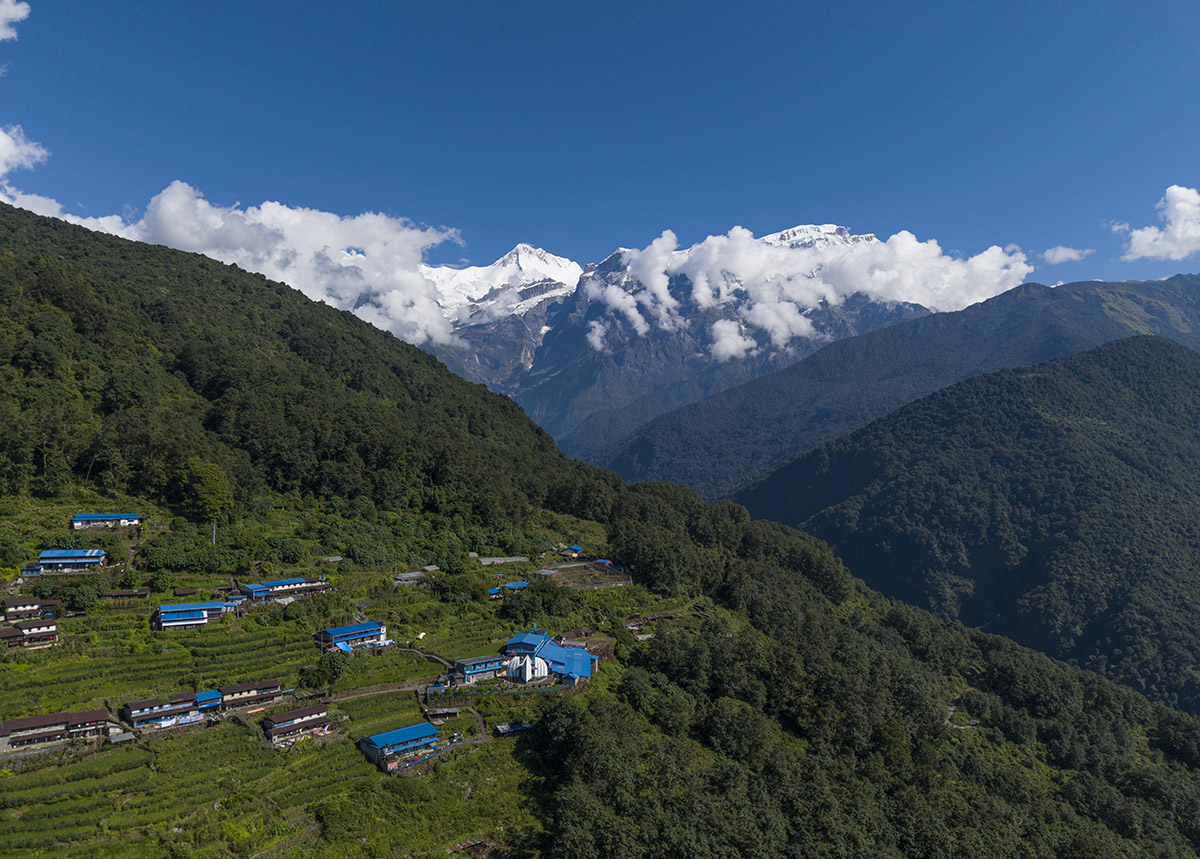 sikles-(16)-1792214485.jpg