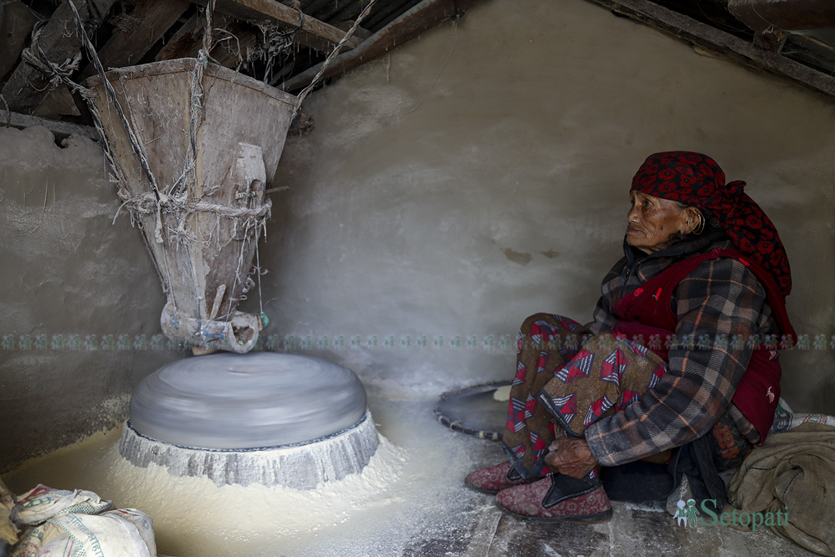 sikles-(8)-1792214484.jpg
