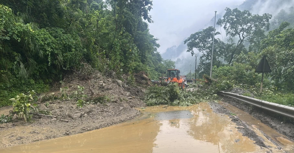तस्बिरः सडक डिभिजन भरतपुर।