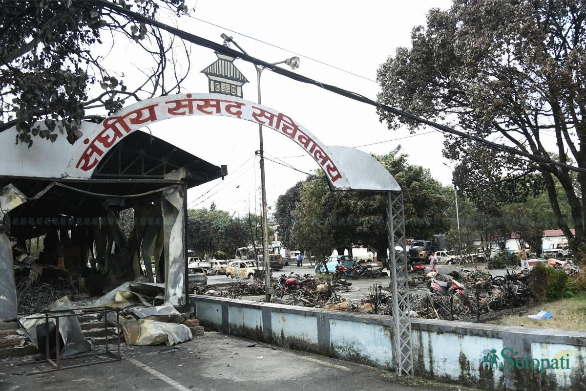 singhadurbar-(12)-ink-1757659079.jpeg