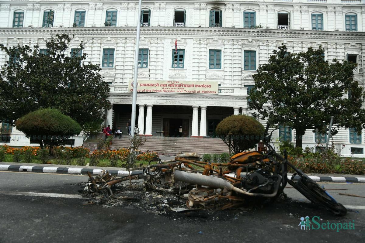 singhadurbar-(25)-ink-1757659088.jpeg