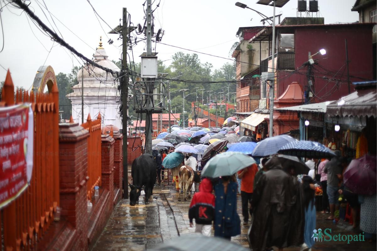 sombar-pashupati-(14)-ink-1721623424.jpeg
