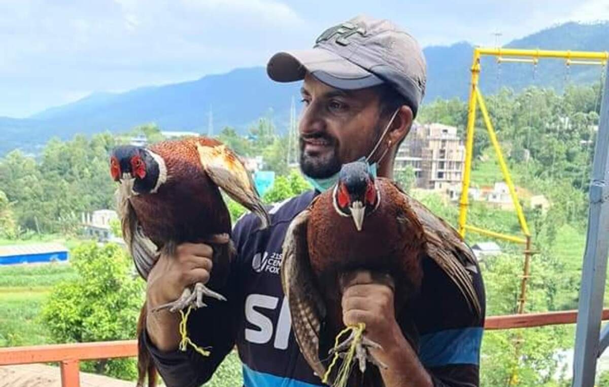 शोषित दवाडी