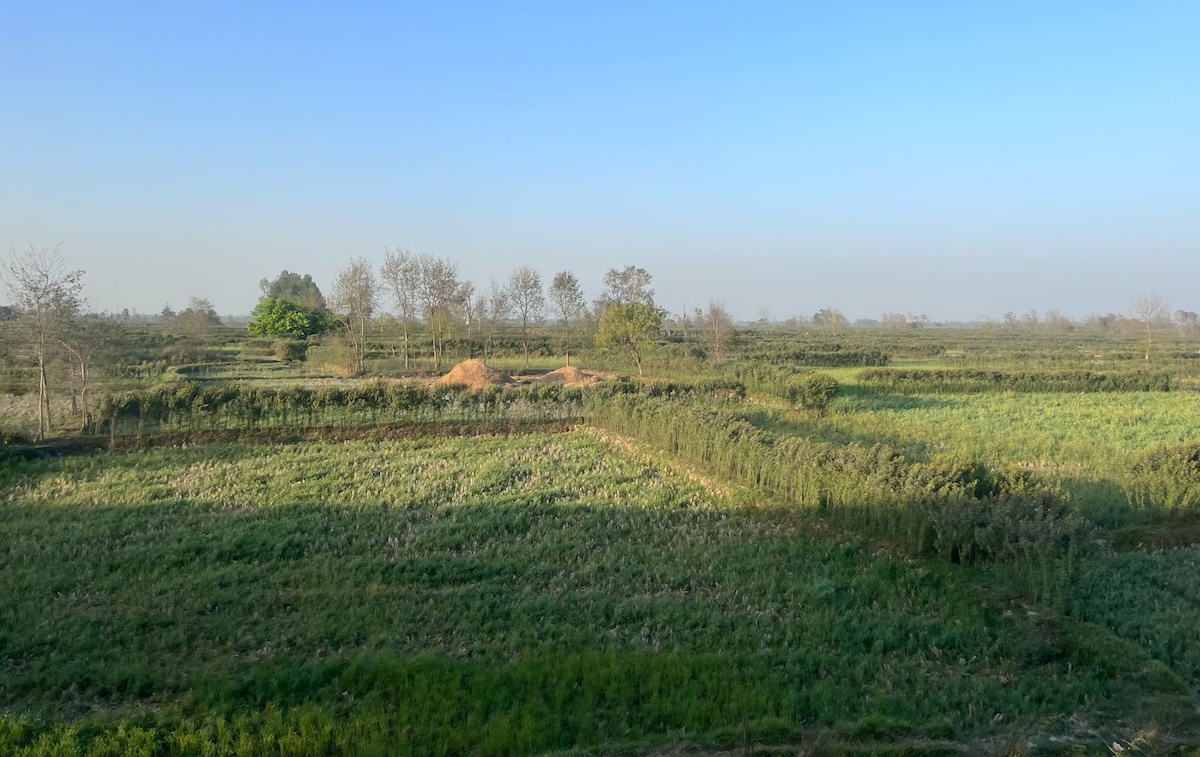 sp-railway-story6-1746890446.jpg