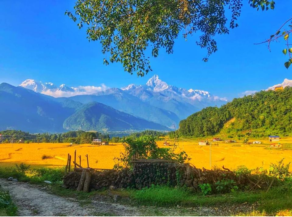 पुरनचौर फाँटबाट देखिएको माछापुच्छ्रे अन्नपूर्ण लगायतका हिमाल। तस्बीर : श्रीधर पौडेल।