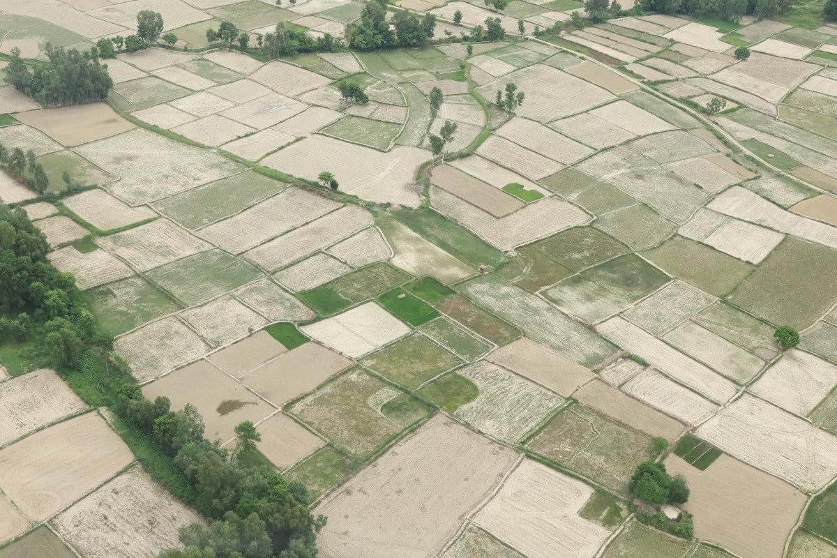 sukka-chhetra-(2)-1753427776.jpg