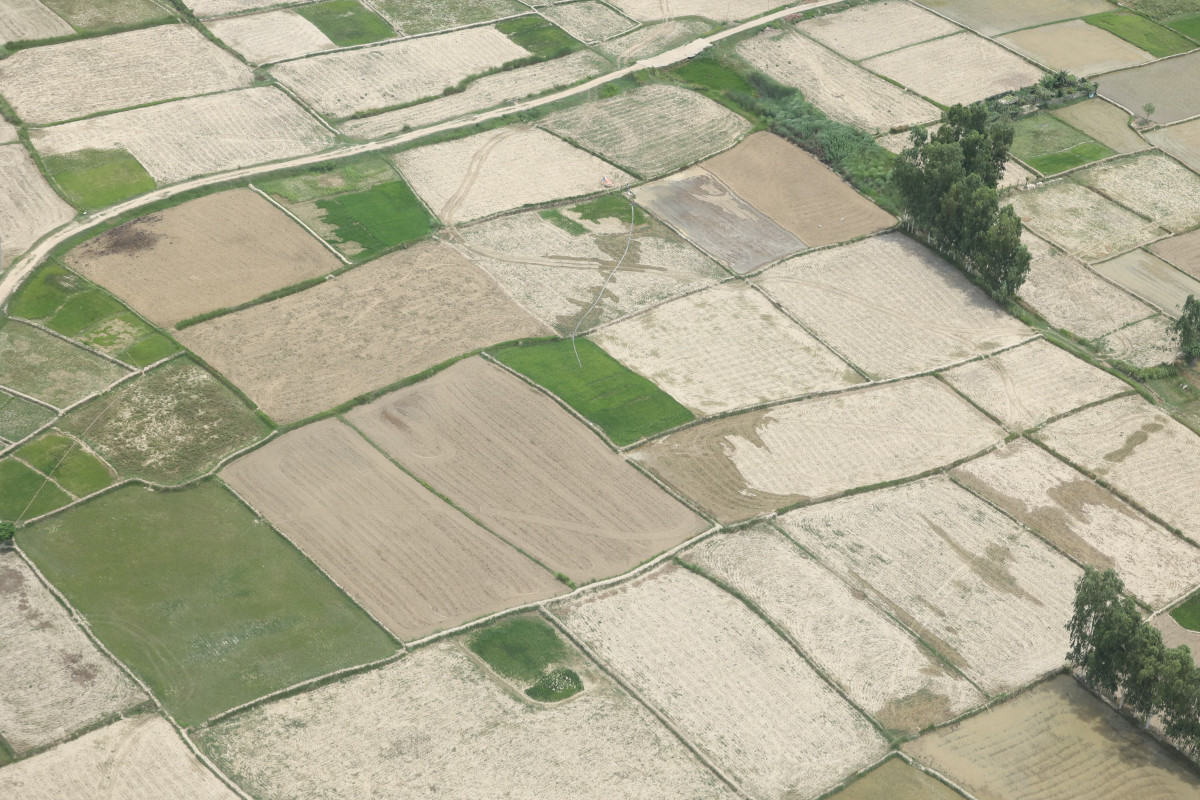 sukka-chhetra-(4)-1753427777.jpg
