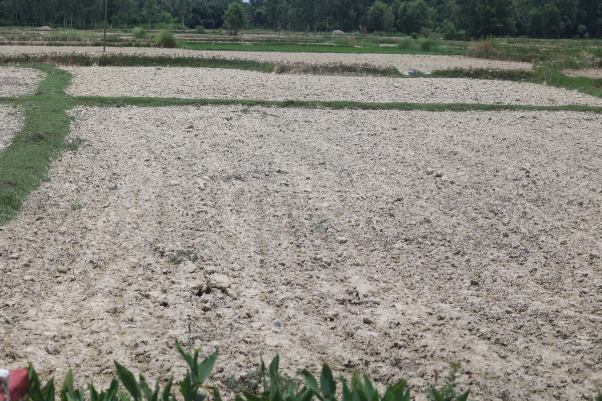sukka-chhetra-(5)-1753427778.jpg