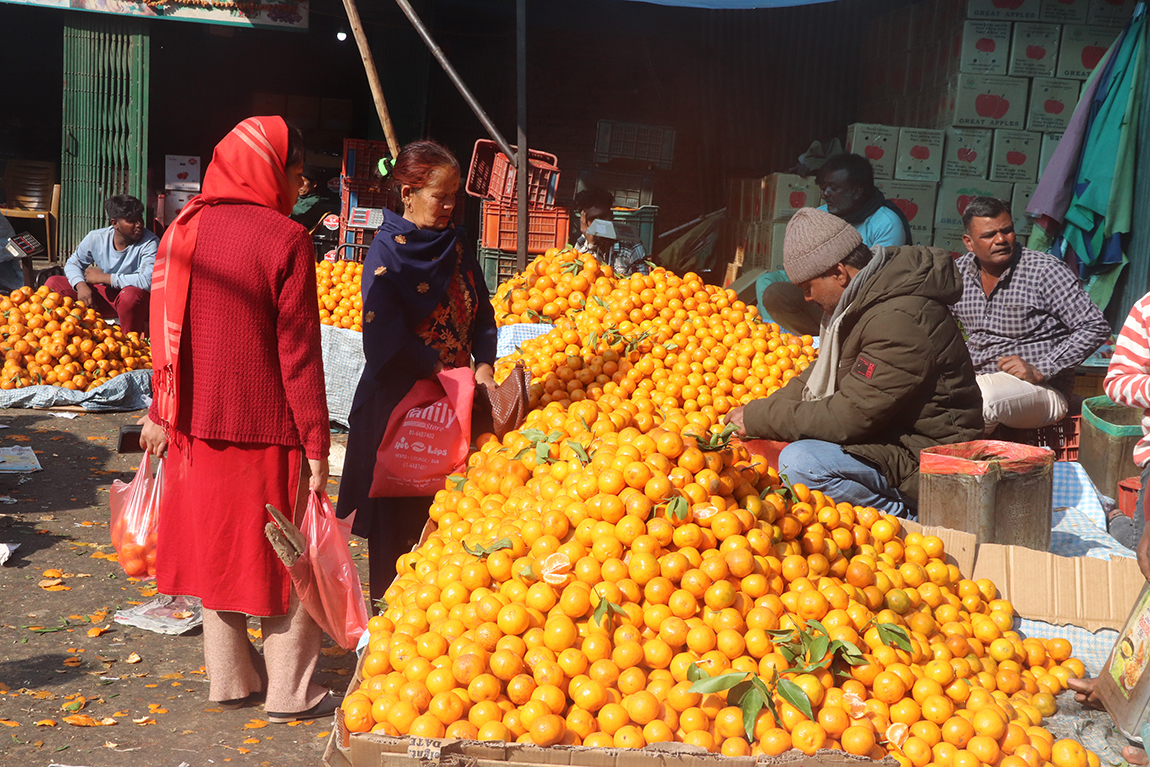 आजका तस्बिर- पुस १७