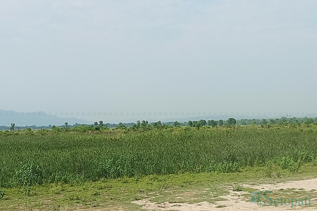 susta-(1)-1780381128.jpg