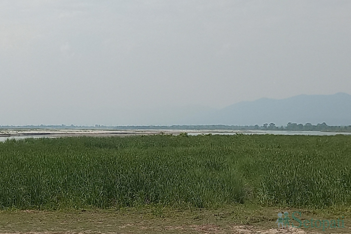 susta-(3)-1780381128.jpg