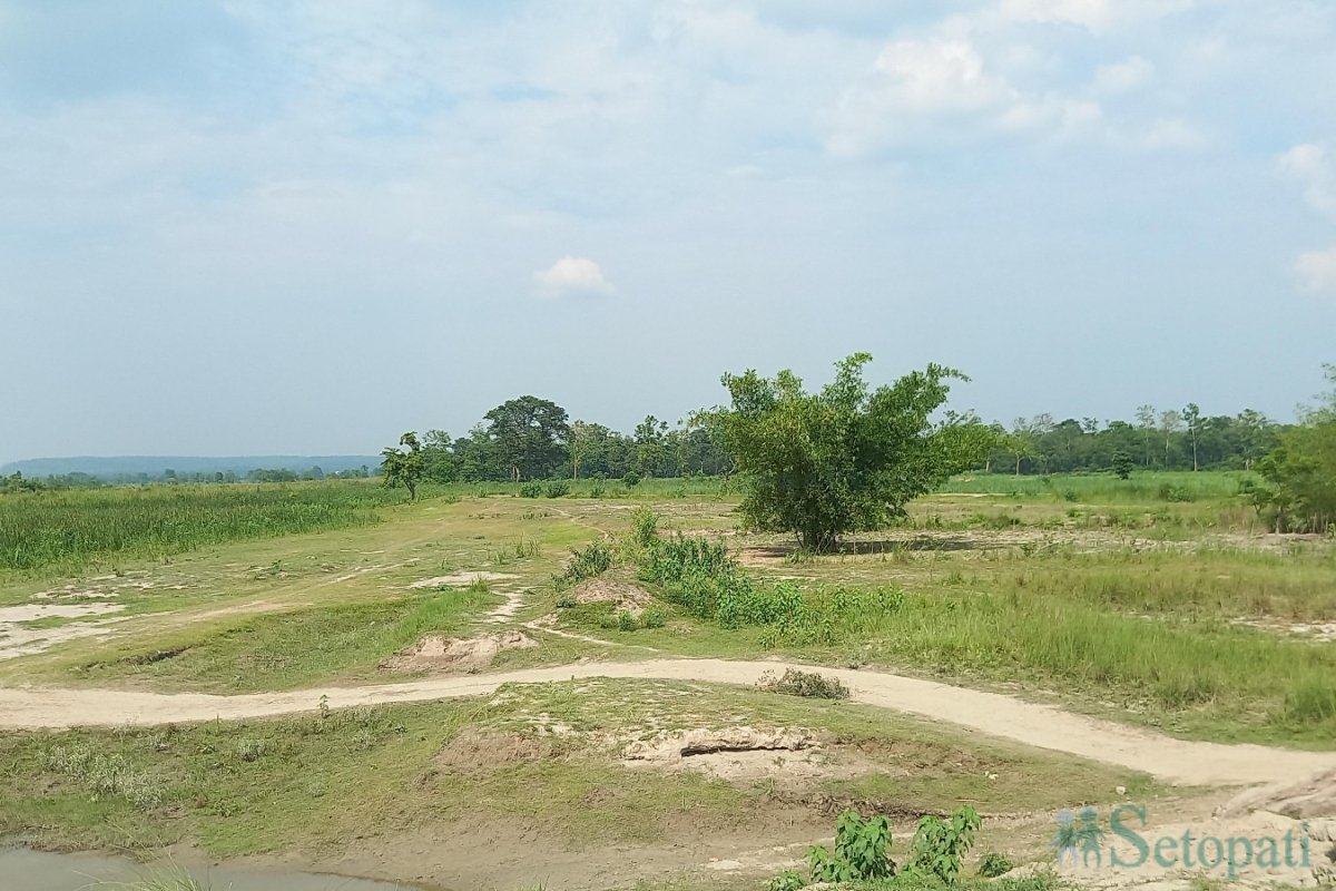 susta-(8)-1780381129.jpg