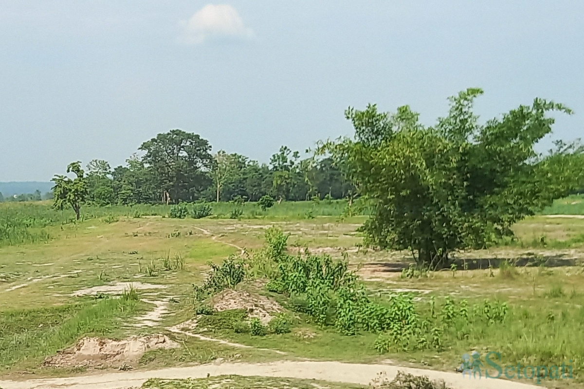 susta-(9)-1780381129.jpg