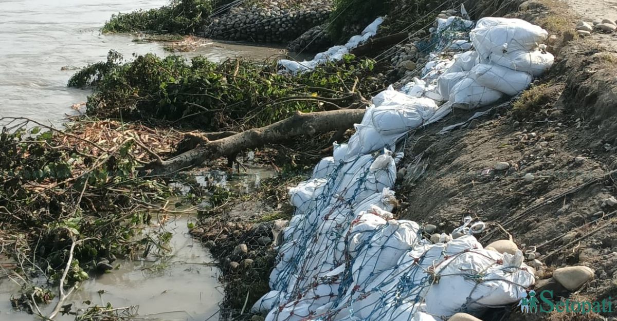 तटबन्ध निर्माण भइरहेको नारायणी नदी तर्फको विवादित जग्गा। यहाँ करिब १९ हजार ४८० हेक्टर जमिन विवादित भन्दै बाँझो राखिएको छ।