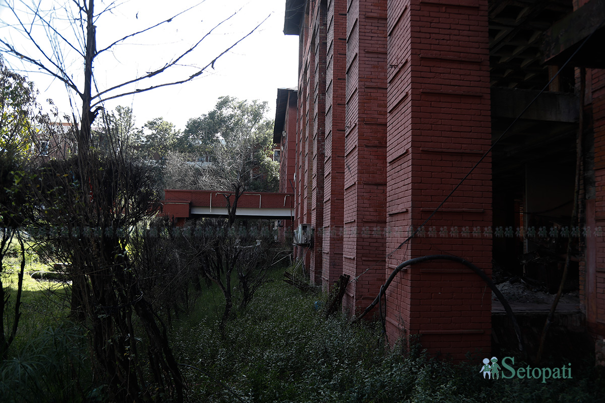 swasthya-mantralaya-(23)-1793179121.jpg