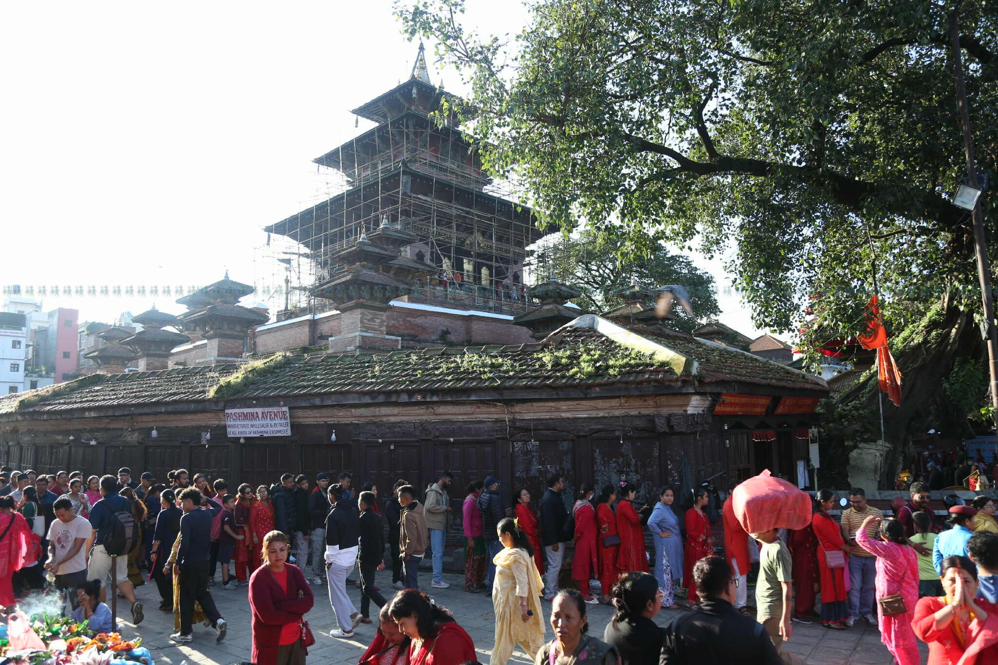 taleju-(25)-1759286804.jpeg