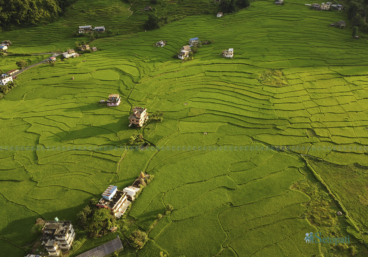 thansing-nuwakot-(5)-1789661537.jpg