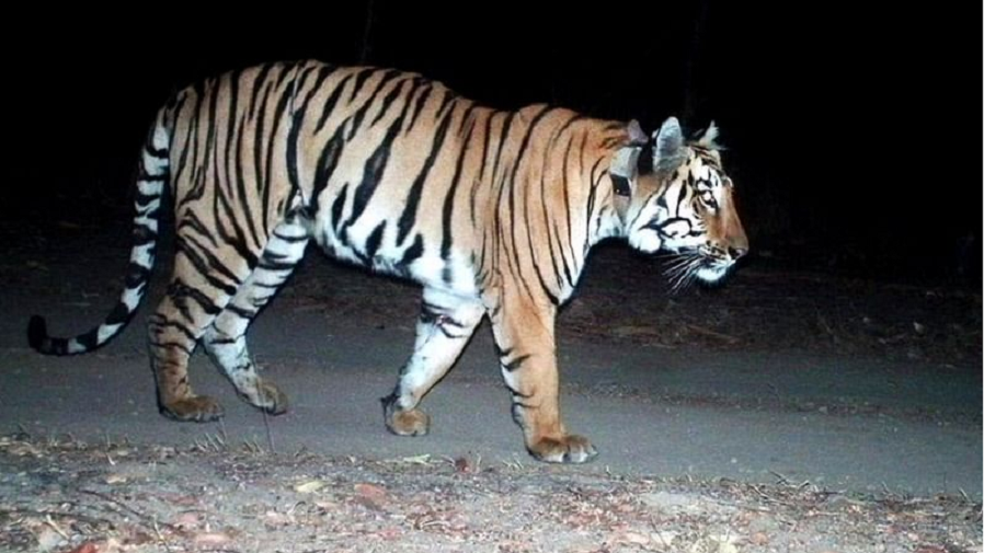 प्रतीकात्मक तस्बिर