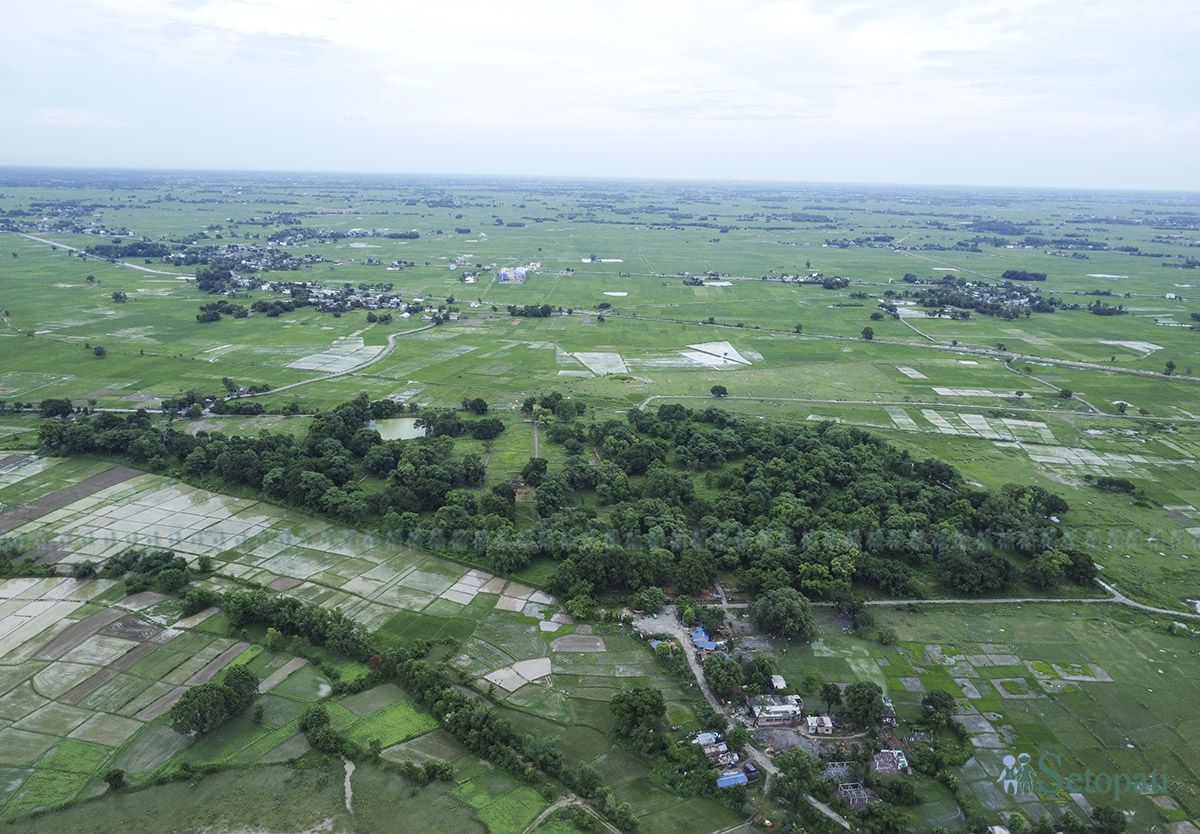 tilaurakot-(11)-1758519002.jpg