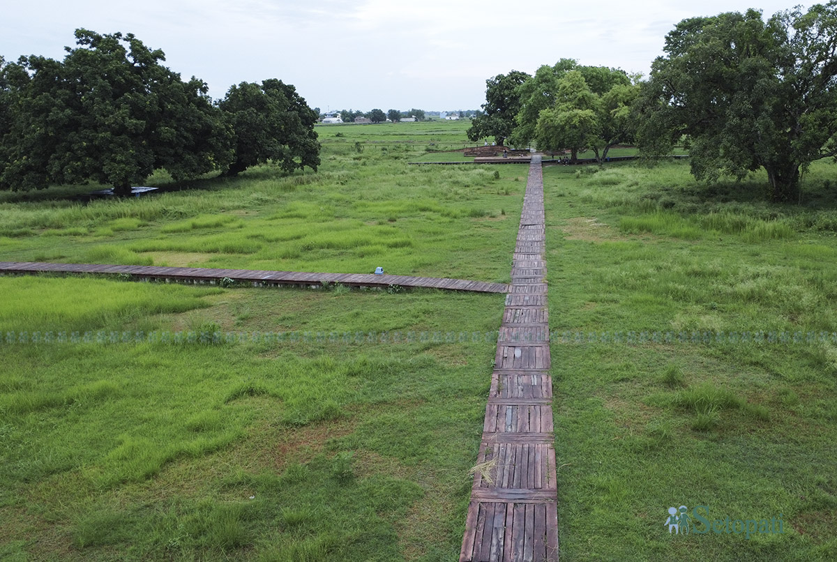 tilaurakot-(2)-1758518999.jpg
