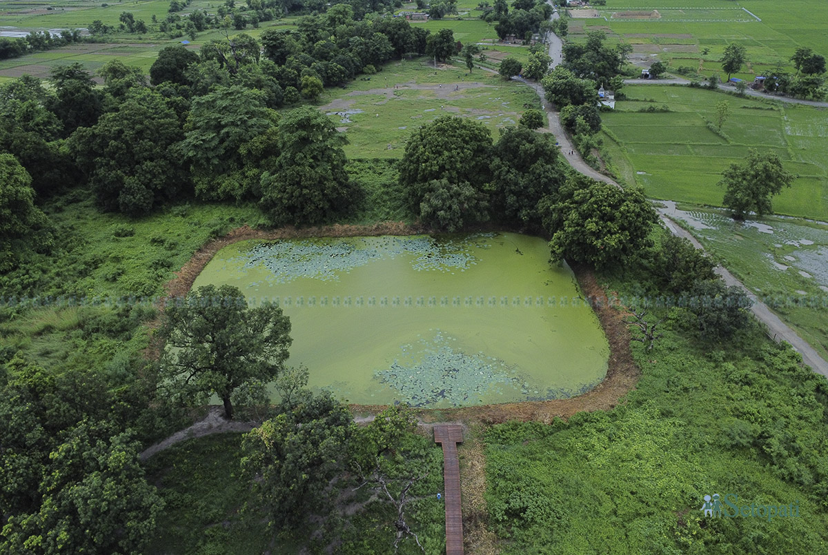 tilaurakot-(3)-1758518999.jpg