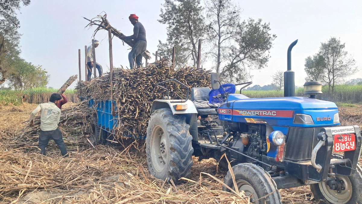 पश्चिम नवलपरासीको प्रतापपुर गाउँपालिका-५स्थित किसानको खेतबाट उखु उद्योगमा बिक्रीका लागि लैजान उखु ट्र्याक्टरमा लोड गरिँदै। अनिल यादव/ रासस