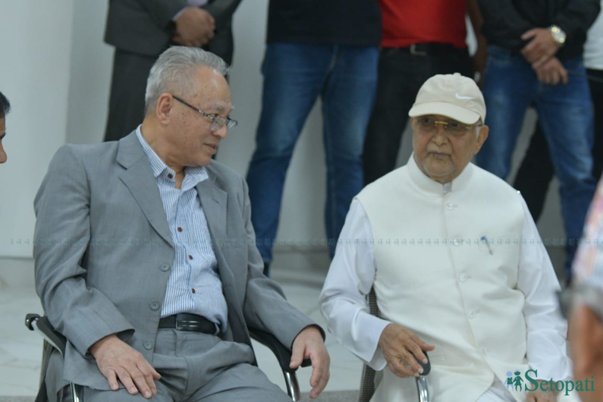 uml-samsadiye-dal-(2)-1782205630.jpeg
