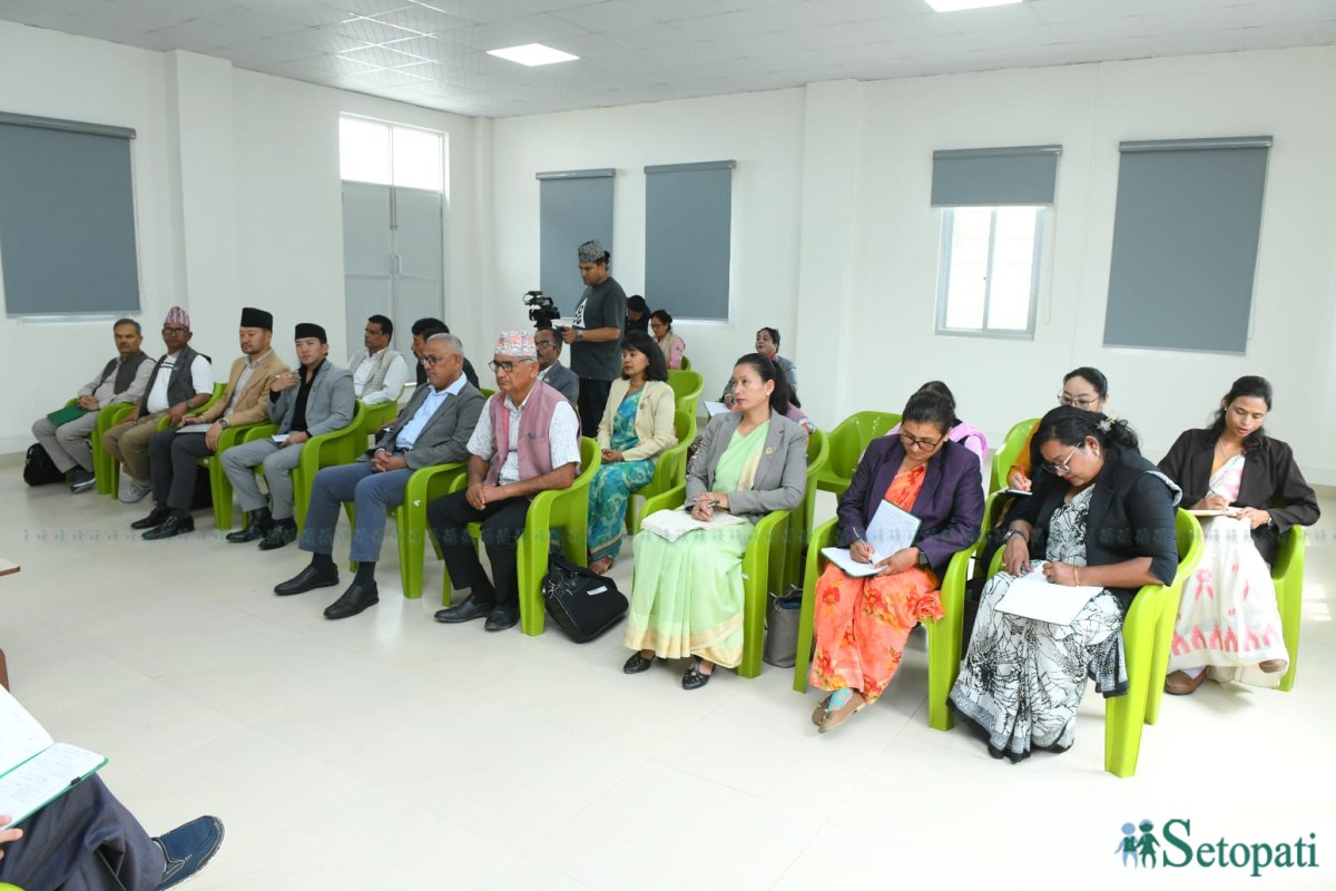 uml-samsadiye-dal-(3)-1782205630.jpeg