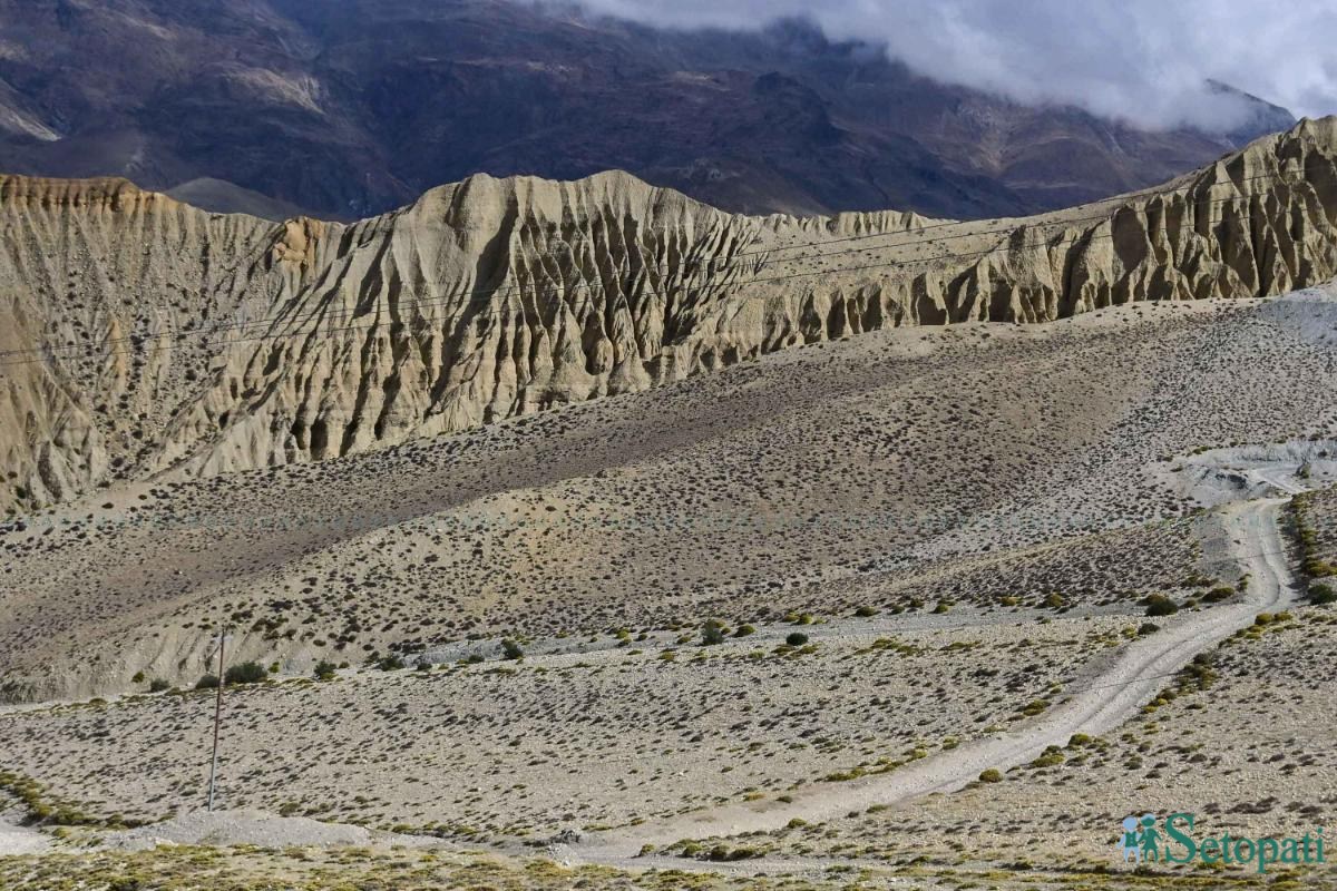 upper-mustang--(11)-ink-1748667097.jpeg