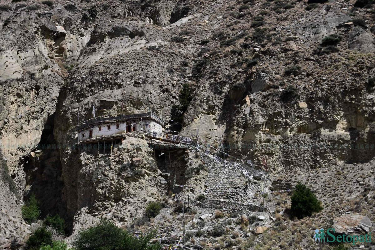 upper-mustang--(13)-ink-1748667098.jpeg