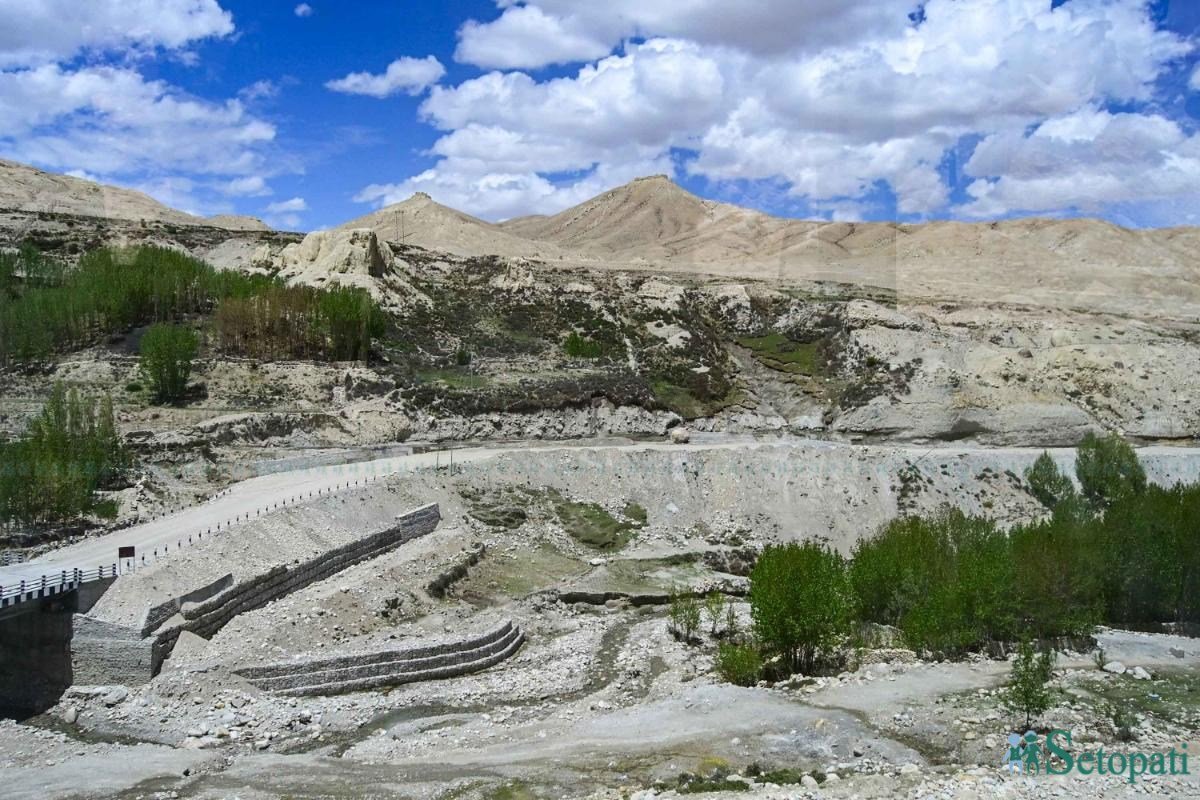 upper-mustang--(18)-ink-1748667100.jpeg