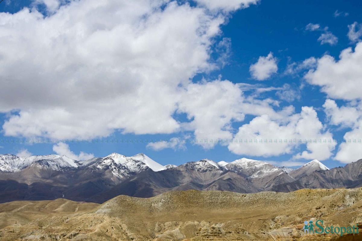 upper-mustang--(19)-ink-1748667101.jpeg