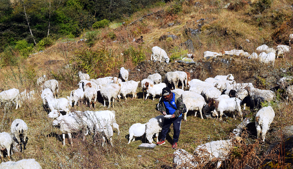 आजका तस्बिर- माघ १०