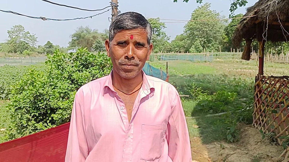vegetable-farming4-1748184527.jpg