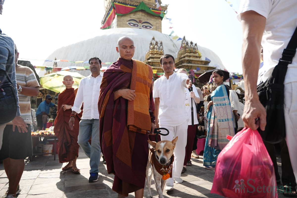 walk-for-peace-(1)-1781530680.jpg